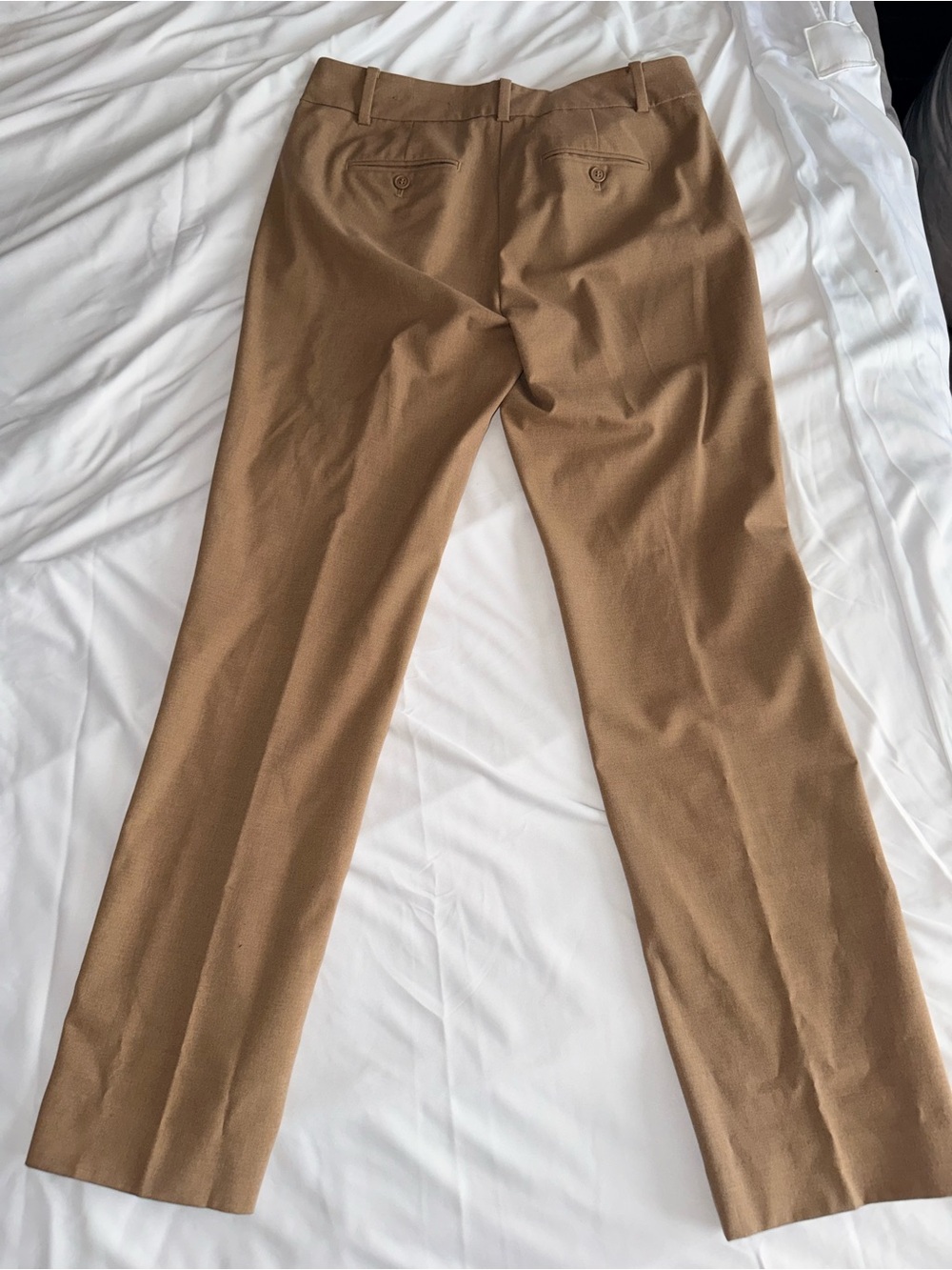 Ann Taylor Women's Trousers in Camel Brown
